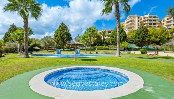Revente - Appartement - Duplex Penthouse - Orihuela - Campoamor