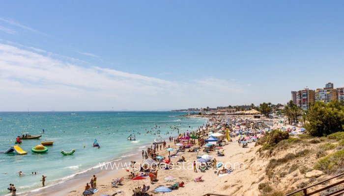 Revente - Appartement - Duplex Penthouse - Orihuela - Campoamor