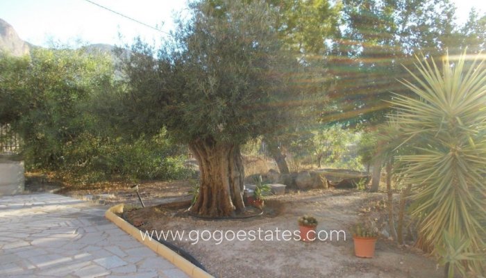 Te koop - Huis - Vrijstaande Villa - Orihuela - Orihuela Centro