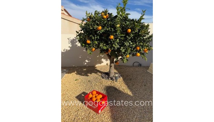 Te koop - Huis - Vrijstaande Villa - Rojales - Ciudad Quesada