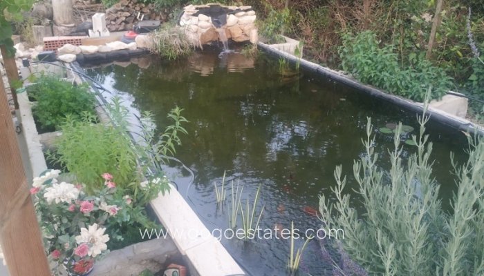 Te koop - Huis - Finca - Cortijo - Crevillente - Crevillent - Crevillente - Crevillent Centro