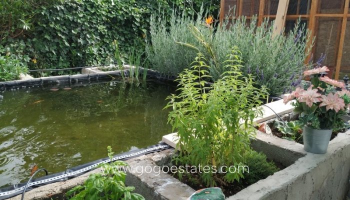 Te koop - Huis - Finca - Cortijo - Crevillente - Crevillent - Crevillente - Crevillent Centro