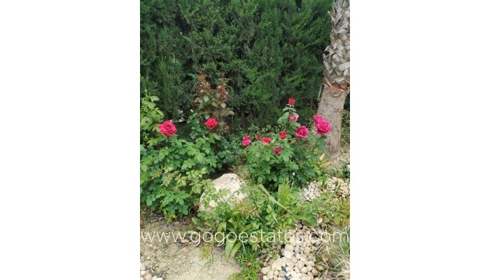 Te koop - Huis - Finca - Cortijo - Crevillente - Crevillent - Crevillente - Crevillent Centro