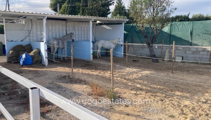 Te koop - Huis - Finca - Cortijo - Crevillente - Crevillent - Crevillente - Crevillent Centro