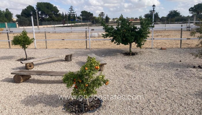 Te koop - Huis - Finca - Cortijo - Crevillente - Crevillent - Crevillente - Crevillent Centro