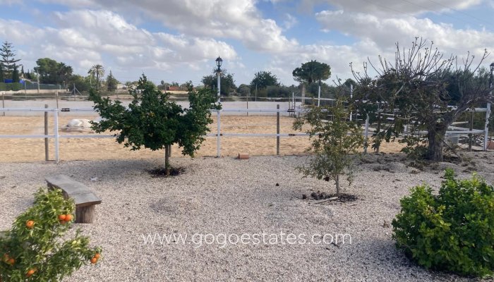 Te koop - Huis - Finca - Cortijo - Crevillente - Crevillent - Crevillente - Crevillent Centro