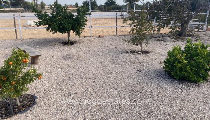 Te koop - Huis - Finca - Cortijo - Crevillente - Crevillent - Crevillente - Crevillent Centro