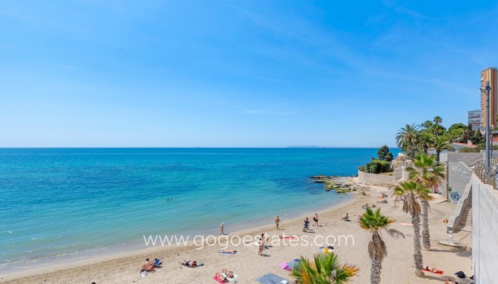 Te koop - Appartement - Begane Grond Appartement - Alicante - Alicante Centro