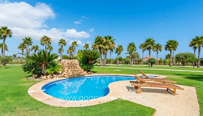 Te koop - Huis - Vrijstaande Villa - Elche - Elche Centro