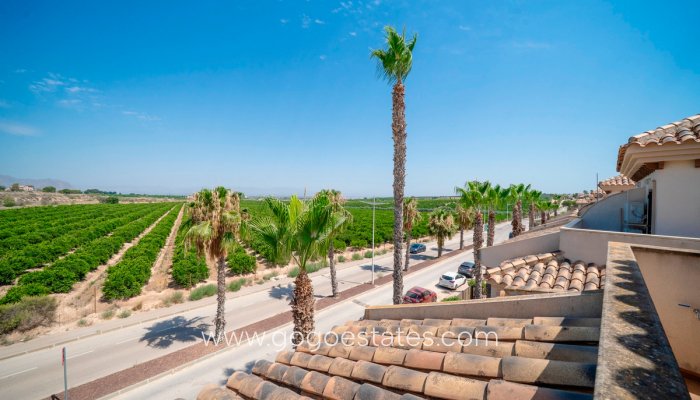 Te koop - Huis - Bungalow - Algorfa - Algorfa Centro