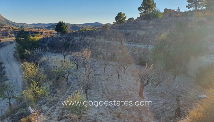 Te koop - Perceel - Land - Relleu - Relleu Centro