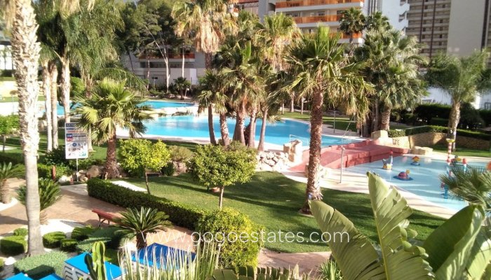 Te koop - Appartement - Appartement op de middelste verdieping - Benidorm - Benidorm Centro