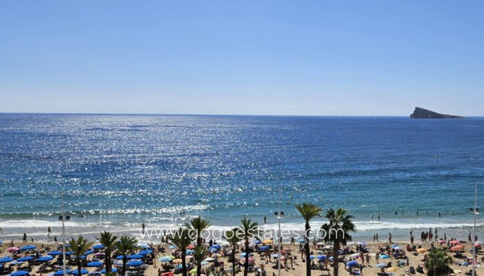 Te koop - Appartement - Begane Grond Appartement - Benidorm - Benidorm Centro