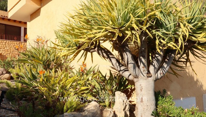 Te koop - Huis - Vrijstaande Villa - Altea - Altea Centro