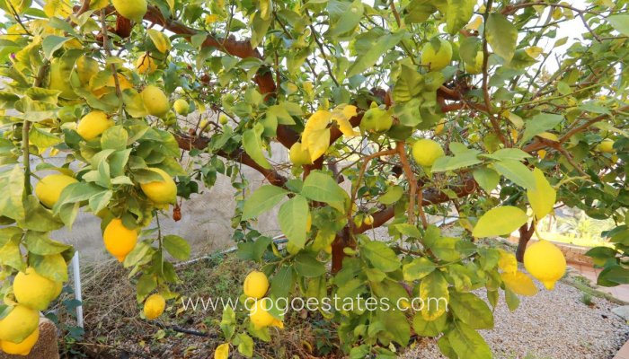 Te koop - Huis - Vrijstaande Villa - Altea - Altea Centro