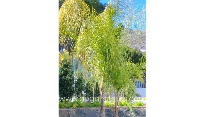 Te koop - Huis - Vrijstaande Villa - Altea - Altea La Vella