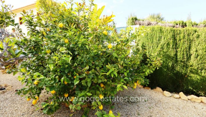 Te koop - Huis - Vrijstaande Villa - La Nucía - La Nucia Centro