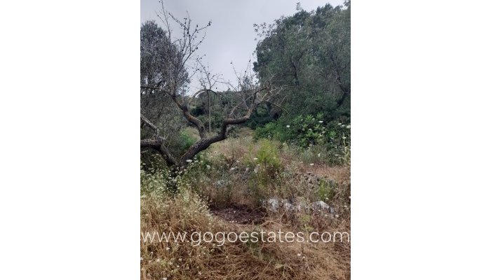 Revente - Terrain - Terrain - Guadalest - Guadalest Centro