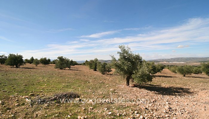 Te koop - Perceel - Land - Biar - Biar Centro