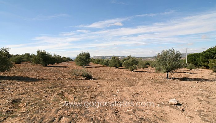 Te koop - Perceel - Land - Biar - Biar Centro