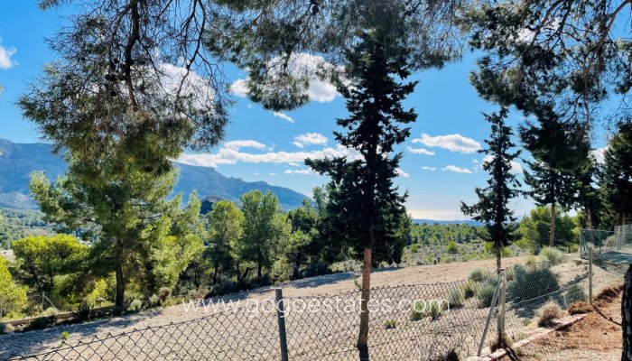 Te koop - Huis - Finca - Cortijo - Jijona - Jijona Centro