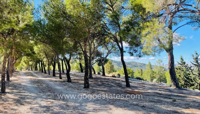 Te koop - Huis - Finca - Cortijo - Jijona - Jijona Centro