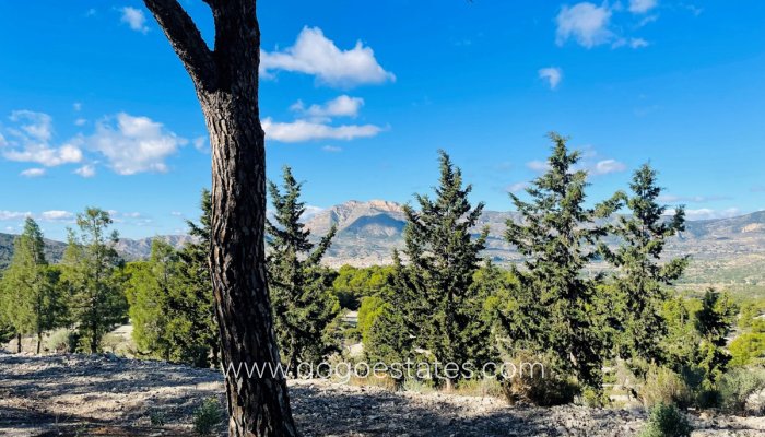 Te koop - Huis - Finca - Cortijo - Jijona - Jijona Centro