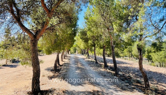 Te koop - Huis - Finca - Cortijo - Jijona - Jijona Centro