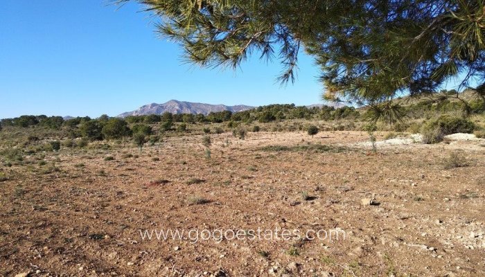 Te koop - Perceel - Land - Relleu - Relleu Centro