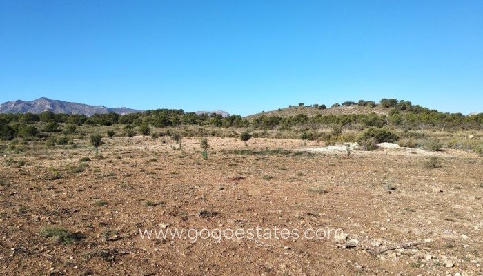 Te koop - Perceel - Land - Relleu - Relleu Centro