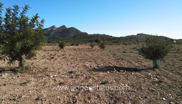 Te koop - Perceel - Land - Relleu - Relleu Centro