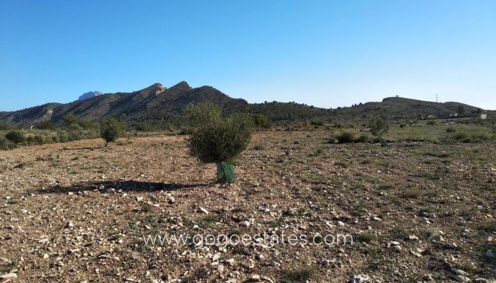 Te koop - Perceel - Land - Relleu - Relleu Centro