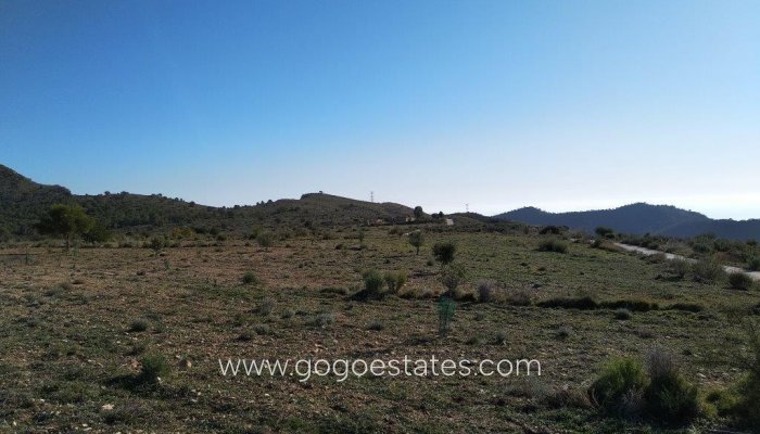 Te koop - Perceel - Land - Relleu - Relleu Centro