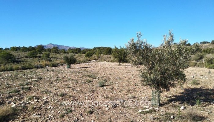 Te koop - Perceel - Land - Relleu - Relleu Centro