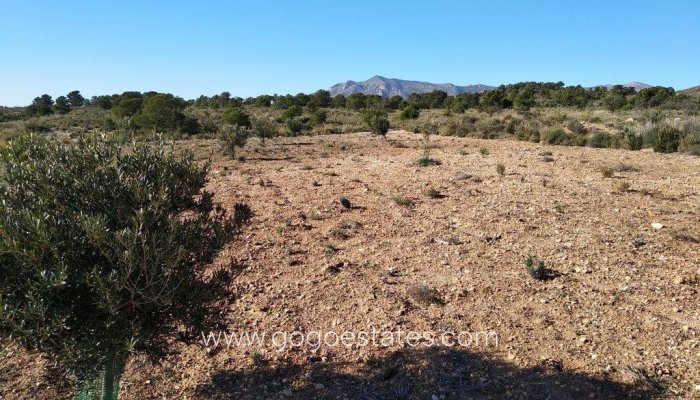 Te koop - Perceel - Land - Relleu - Relleu Centro