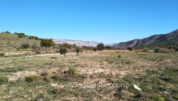 Te koop - Perceel - Land - Relleu - Relleu Centro