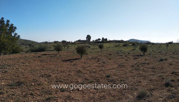 Te koop - Perceel - Land - Relleu - Relleu Centro