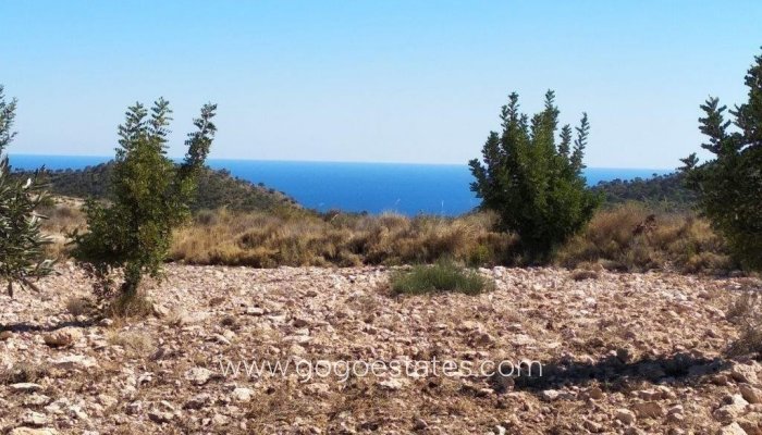 Te koop - Perceel - Land - Relleu - Relleu Centro