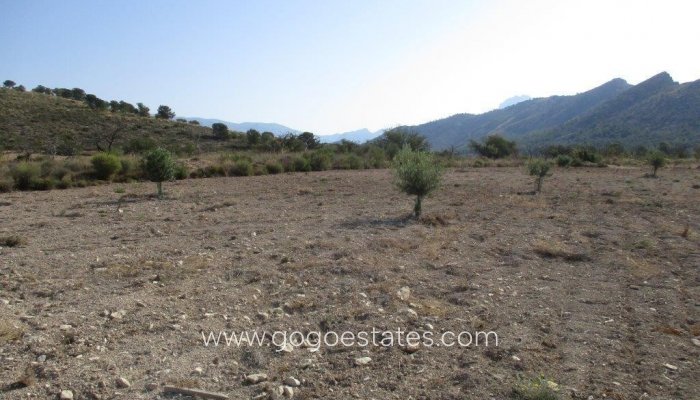 Te koop - Perceel - Land - Relleu - Relleu Centro