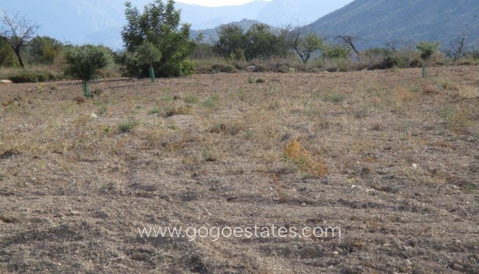 Te koop - Perceel - Land - Relleu - Relleu Centro