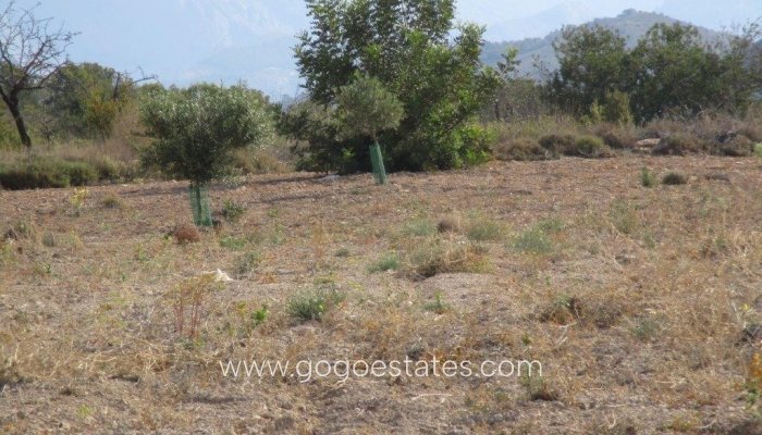 Te koop - Perceel - Land - Relleu - Relleu Centro