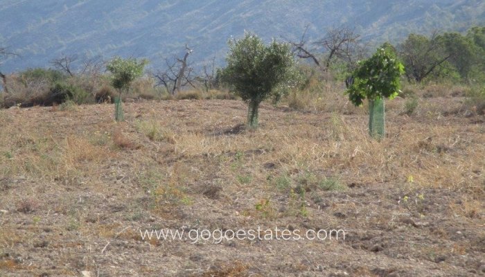 Te koop - Perceel - Land - Relleu - Relleu Centro