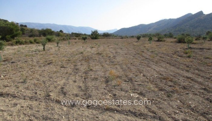 Te koop - Perceel - Land - Relleu - Relleu Centro