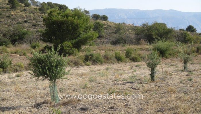 Te koop - Perceel - Land - Relleu - Relleu Centro