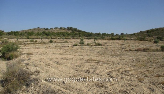 Te koop - Perceel - Land - Relleu - Relleu Centro