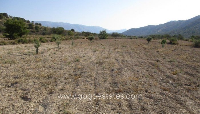 Te koop - Perceel - Land - Relleu - Relleu Centro