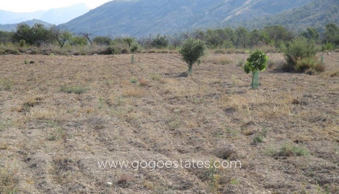 Te koop - Perceel - Land - Relleu - Relleu Centro