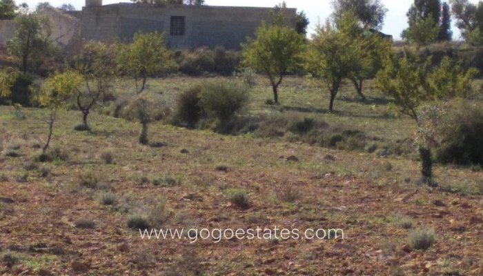 Te koop - Perceel - Land - Relleu - Relleu Centro