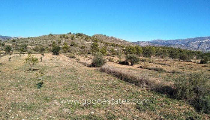 Te koop - Perceel - Land - Relleu - Relleu Centro