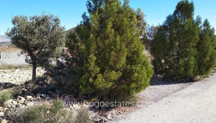 Te koop - Perceel - Land - Relleu - Relleu Centro